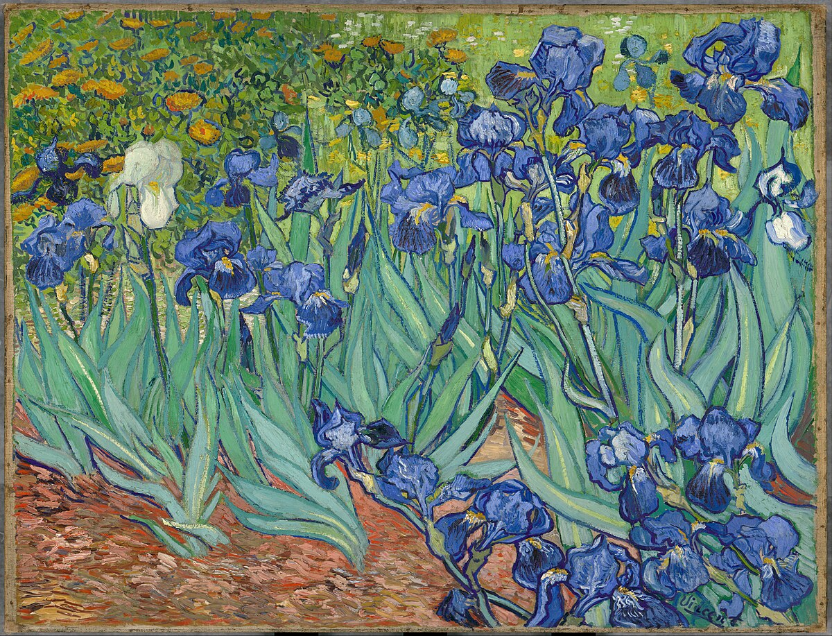 Irises -Vincent Van Gogh